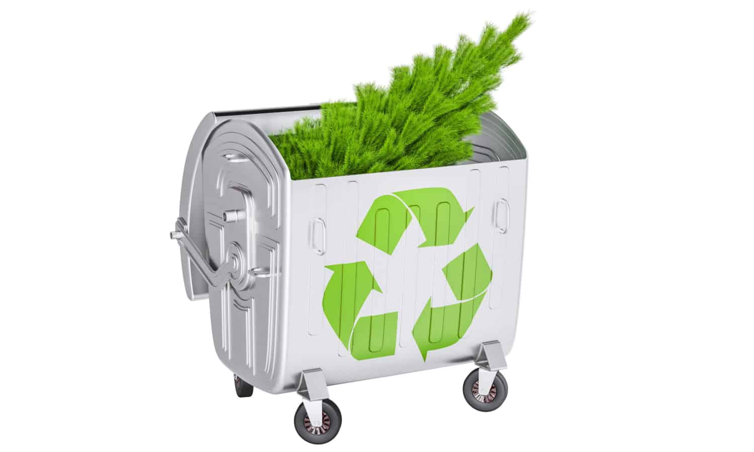 What Can Be Recycled How To Recycle Where To Recycle