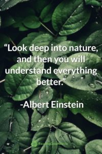 Albert Einstein Earth Day Quote