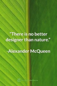 Alexander McQueen Earth Day Quote