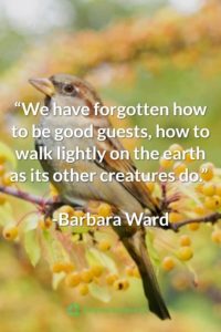 Barbara Ward Earth Day Quote