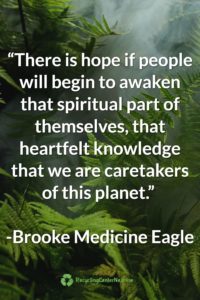 Brooke Medicine Eagle Earth Day Quote