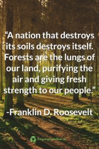 Franklin D. Roosevelt Earth Day Quote