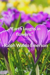 Ralph Waldo Emerson Earth Day Quote
