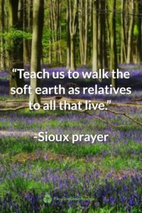 Sioux Prayer Earth Day Quote