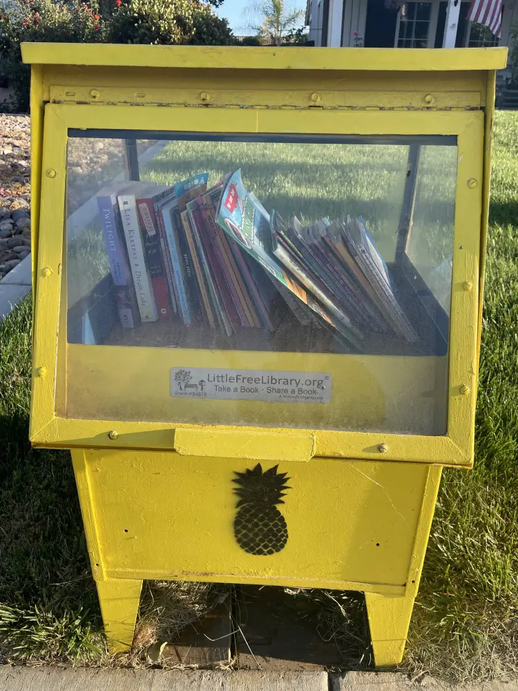 Little Free Library